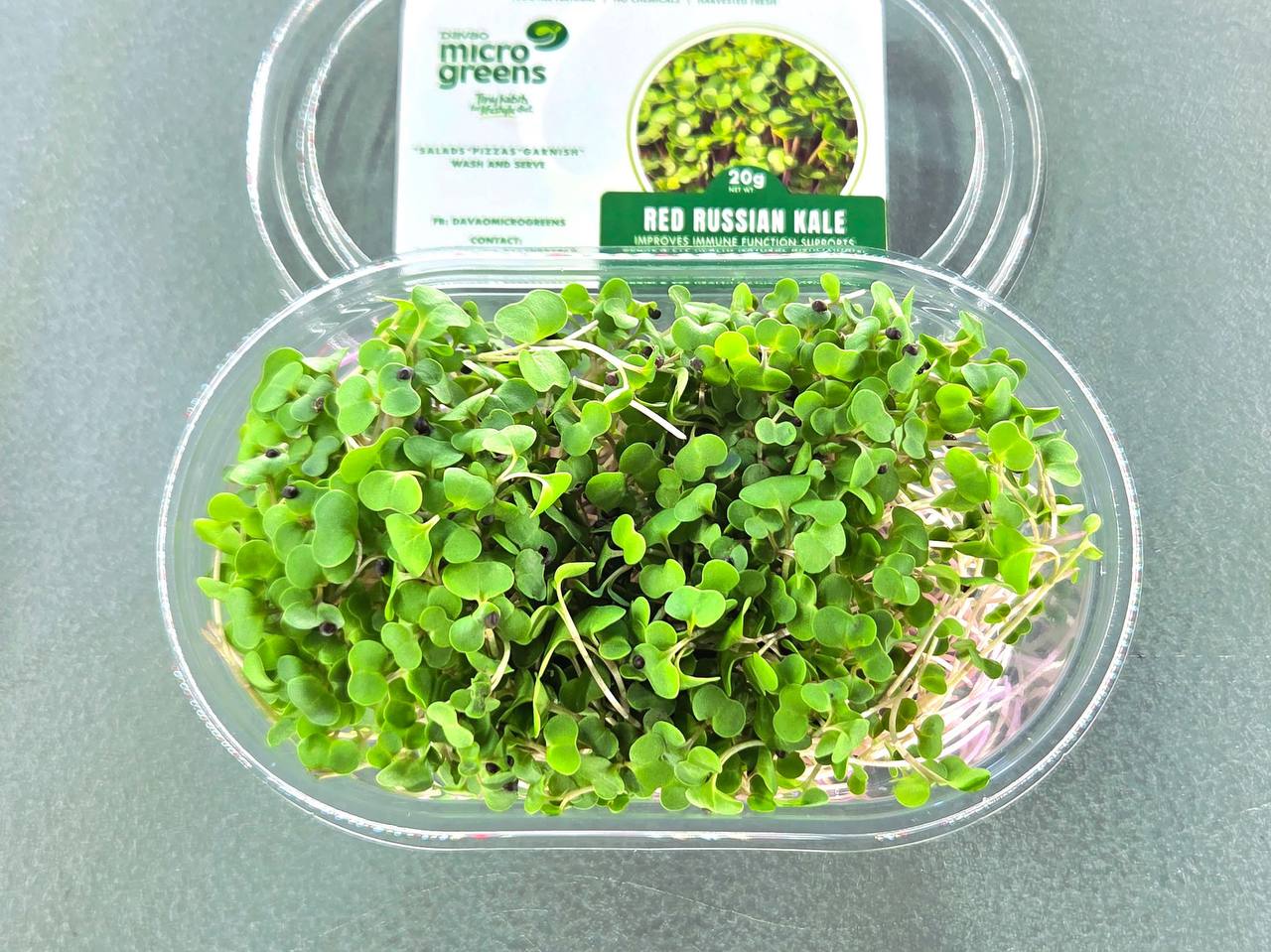 Red Russian Kale Microgreens